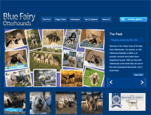 Tablet Screenshot of bluefairyotterhounds.com